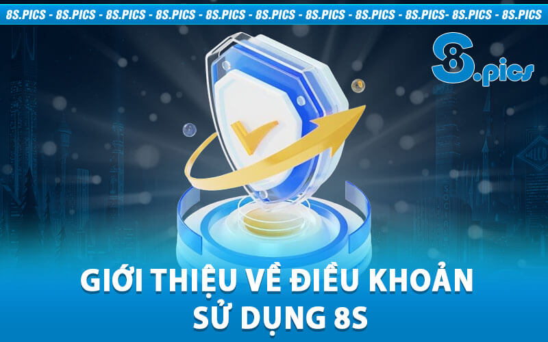 Điều khoản sử dụng 8S