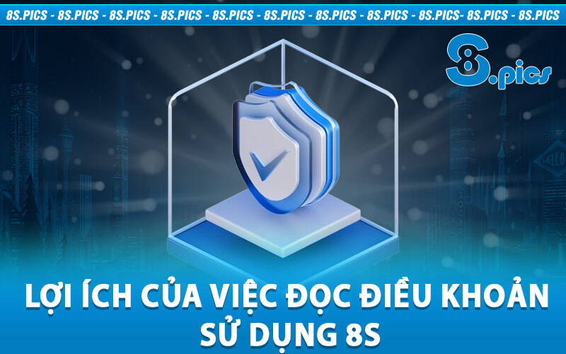 Điều khoản sử dụng 8S